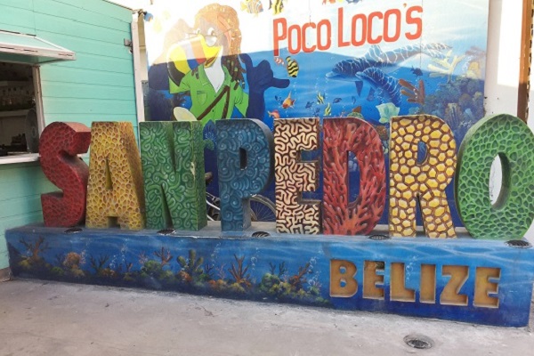 Polo Loco sign