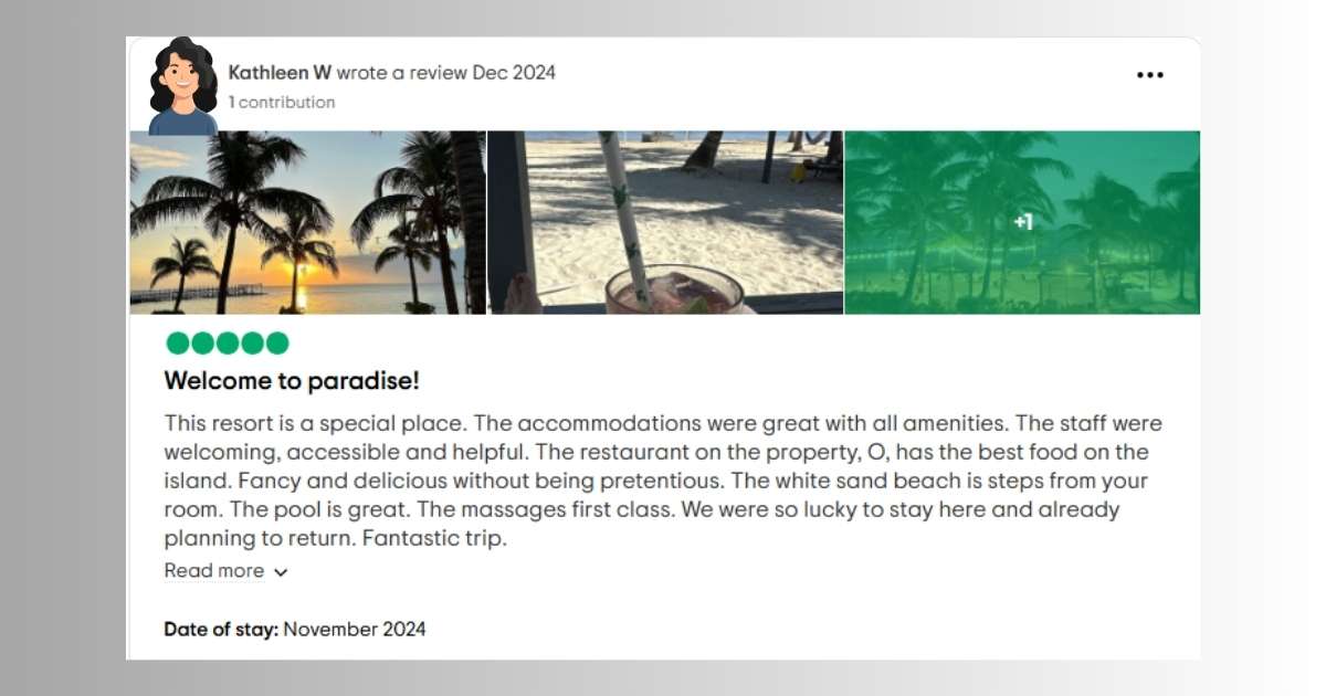 Las Terrazas Trip Advisor Review - Nov 2024