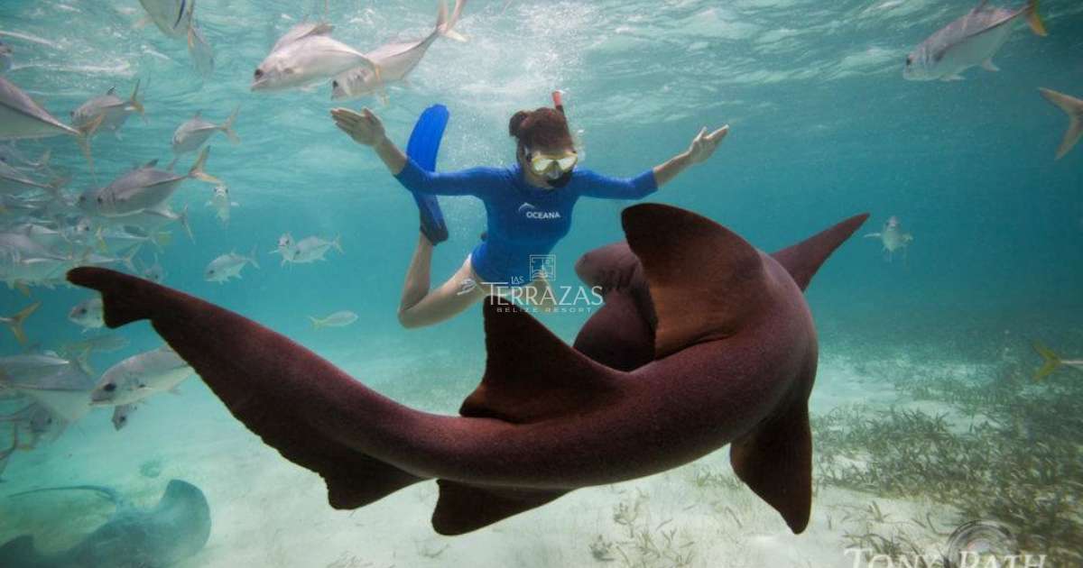 Snorkelling along the Belize Barrier Reef