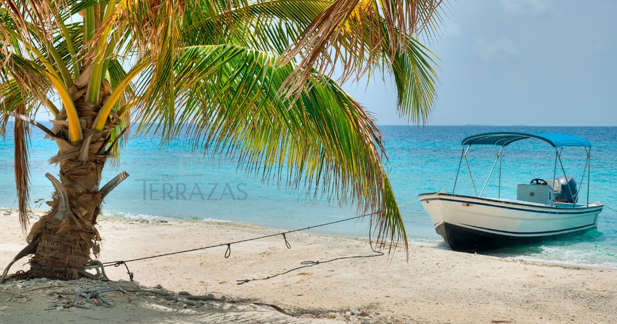 A speed boat anchored with a simple road to a palm tree in Ambergris Caye