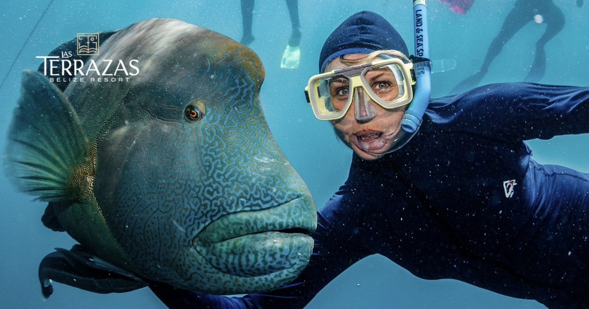 Snorkeling and posing with a Humphead wrasse.