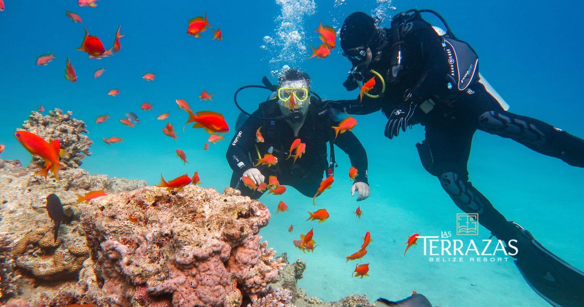 Dive deep into a UNESCO heritage site
