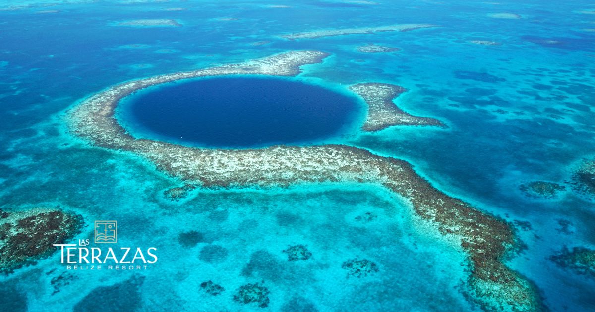 Your quick guide to the reef’s best spots