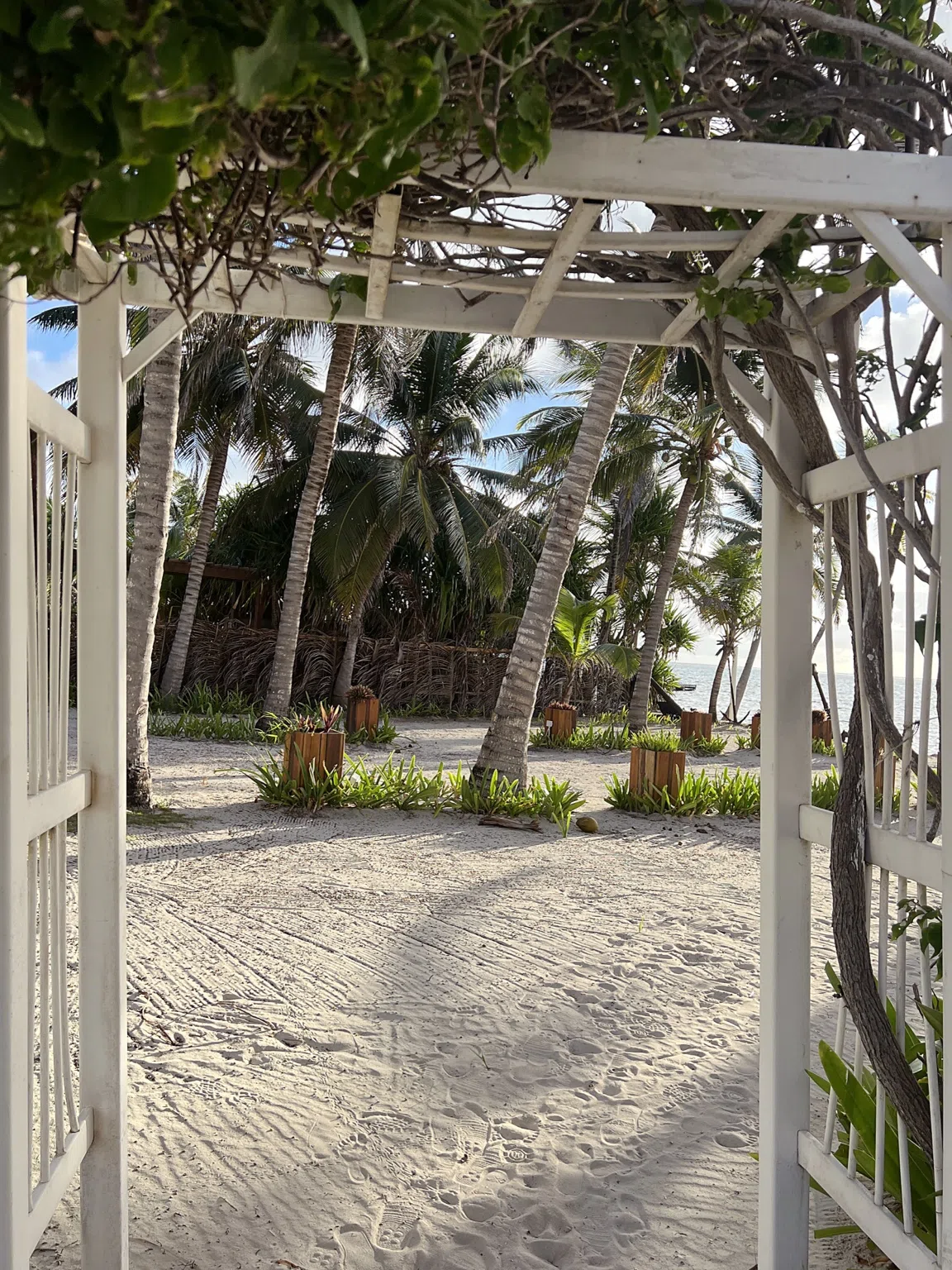 Beachfront dining scene at Las Terrazas with tables overlooking the water at golden hour