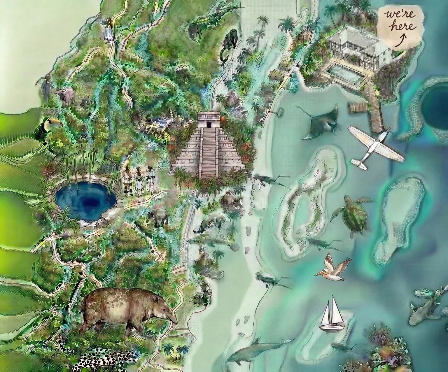 Illustrated watercolor map of Belize showing Las Terrazas Resort on Ambergris Caye, the Mayan pyramid, a sacred Maya cenote, the Belize Barrier Reef, the Great Blue Hole, sea life including a manta ray, sea turtle, dolphins and sharks, a pelican in flight