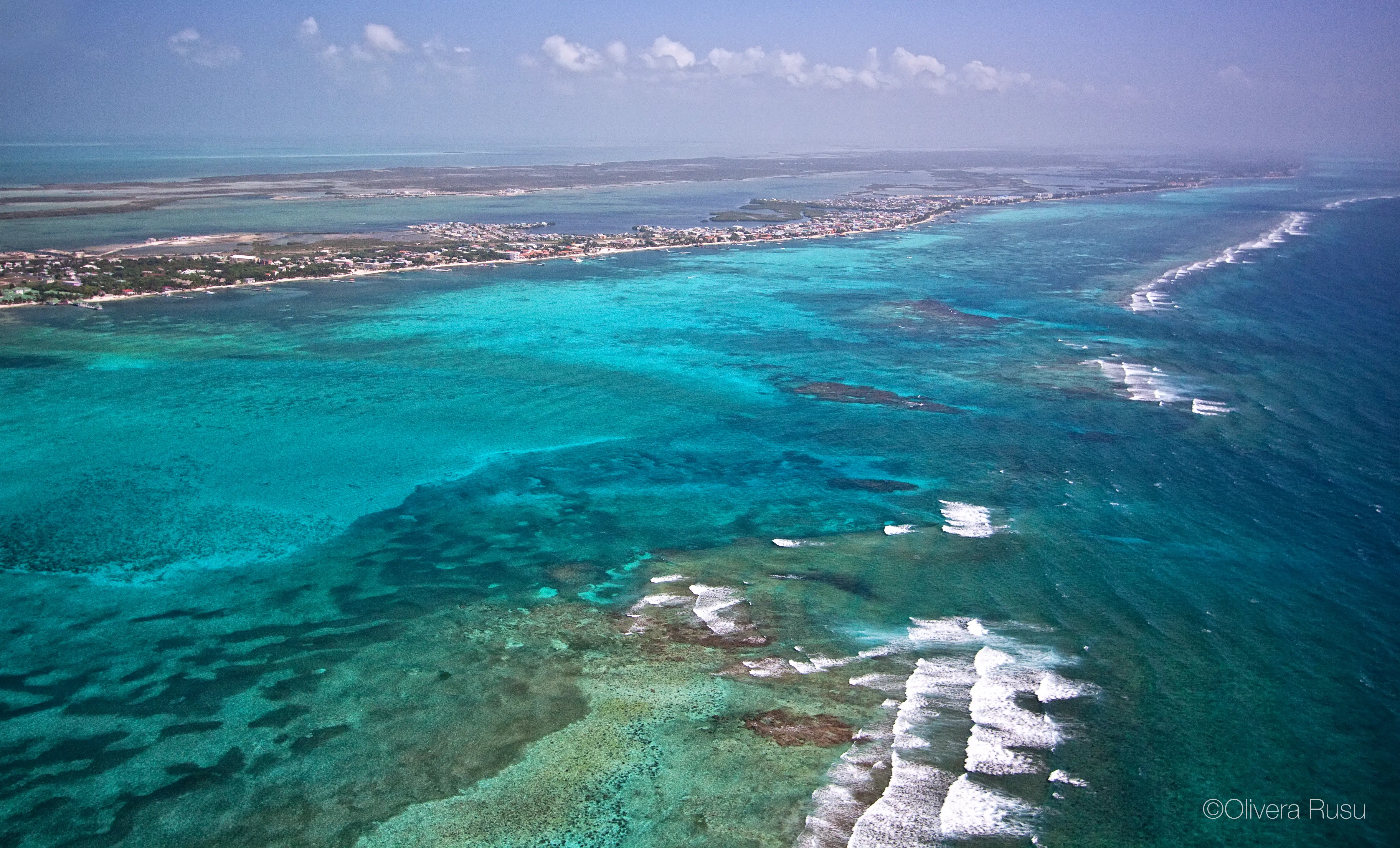 Group snorkeling on reef