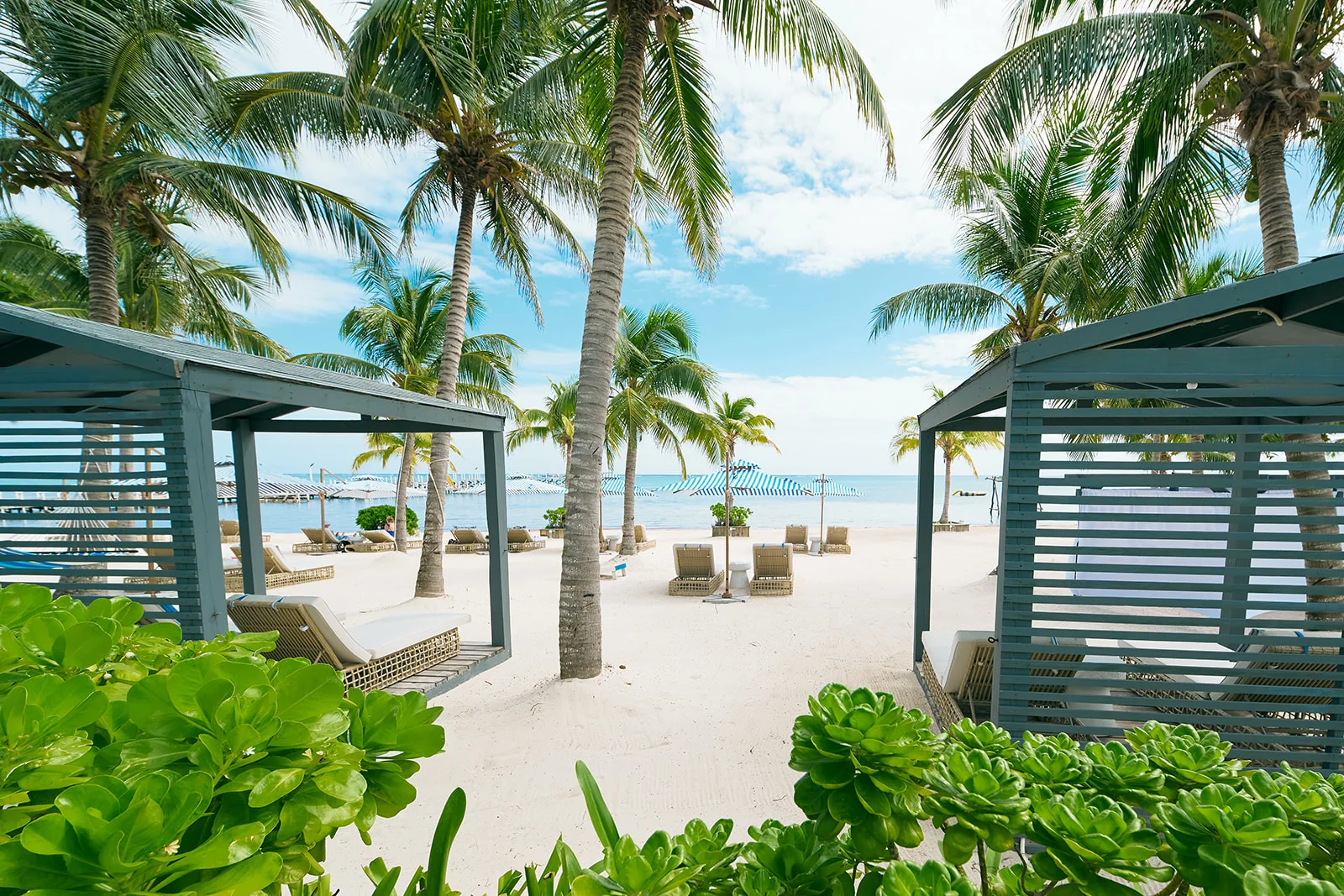 Stay 4 nights, 5th night free
